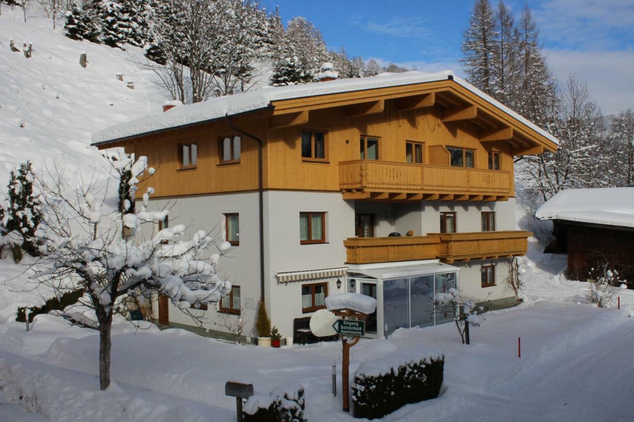 Appartement Schoenfeld ซาลบาคฮินเทอร์เกลมม์ ภายนอก รูปภาพ